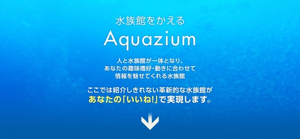 水族館をかえる「Aquqzium」スライド5